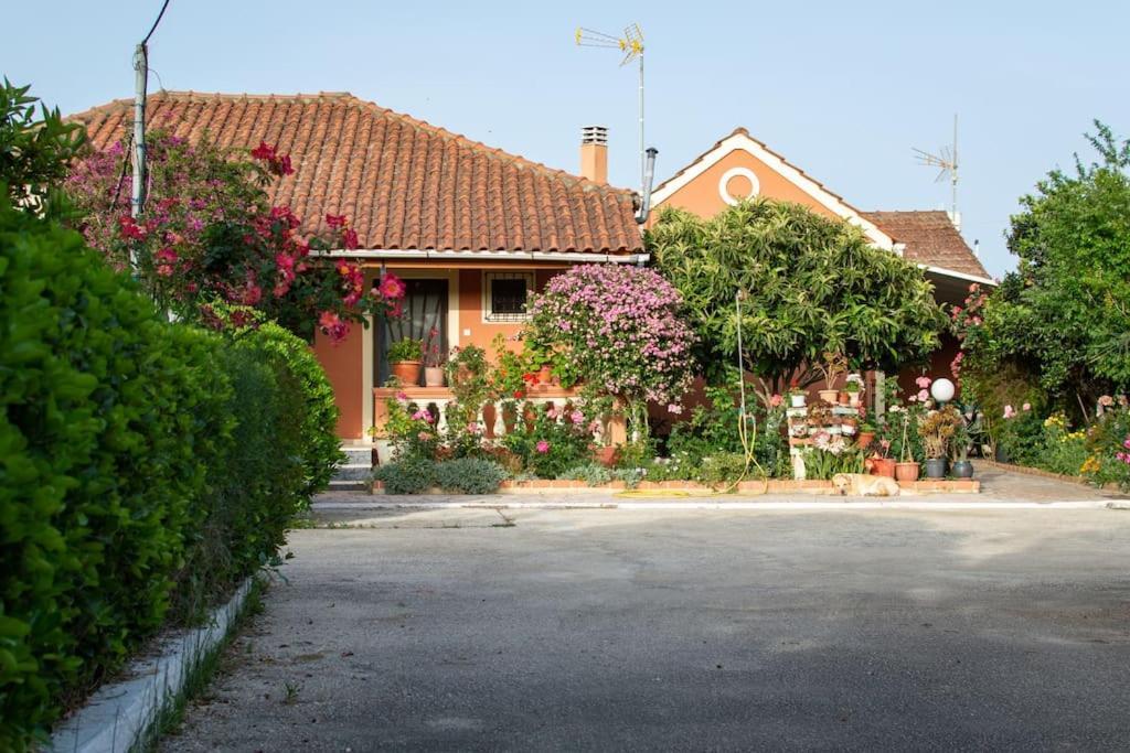 Hébergement de vacances Rose Garden 2